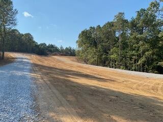 Single Family - Wildwood Lane (lot 52), Myrtle, MS