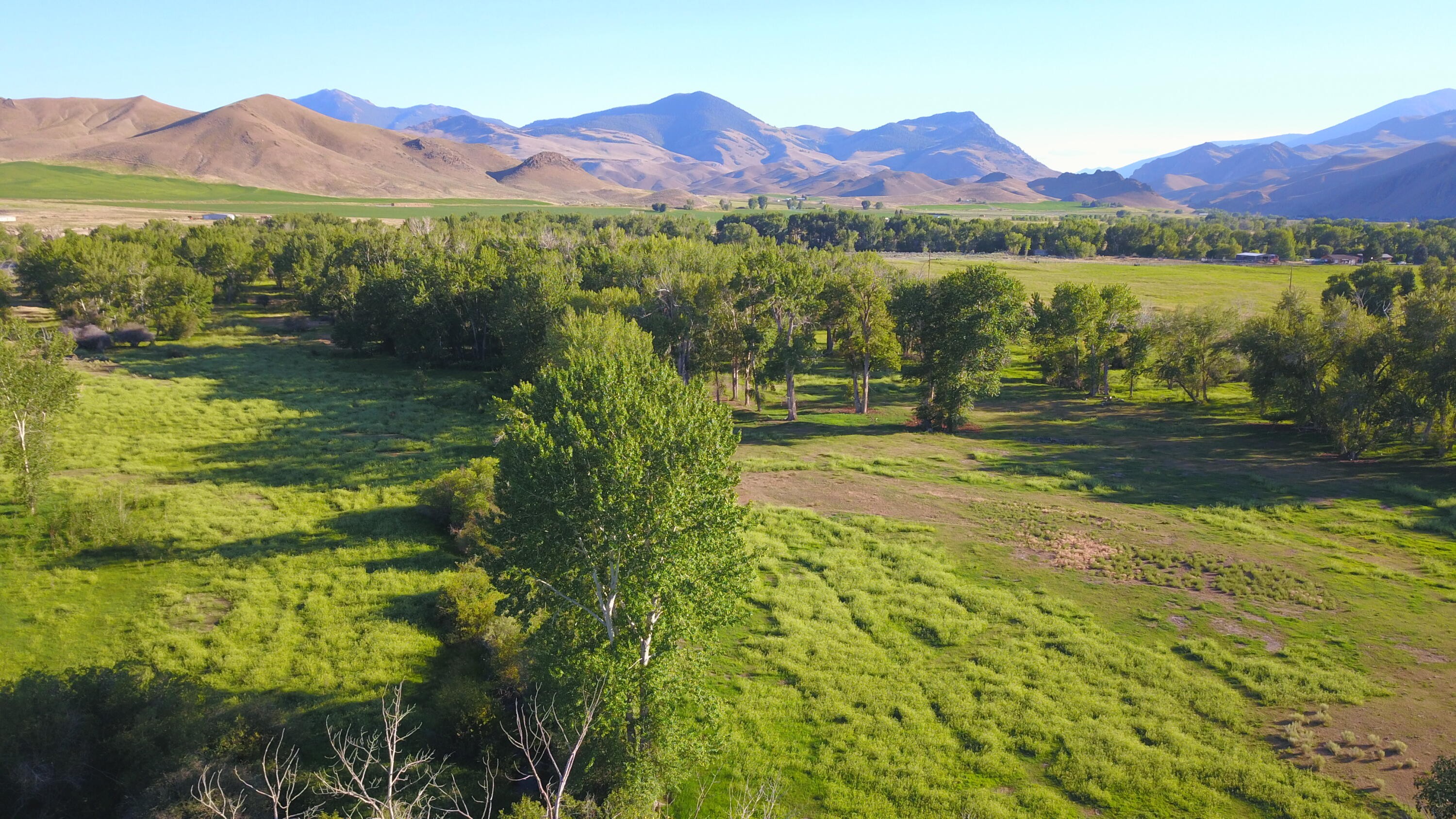Single Family 3BR 3BA - 389 Wrangler LN, Challis, ID