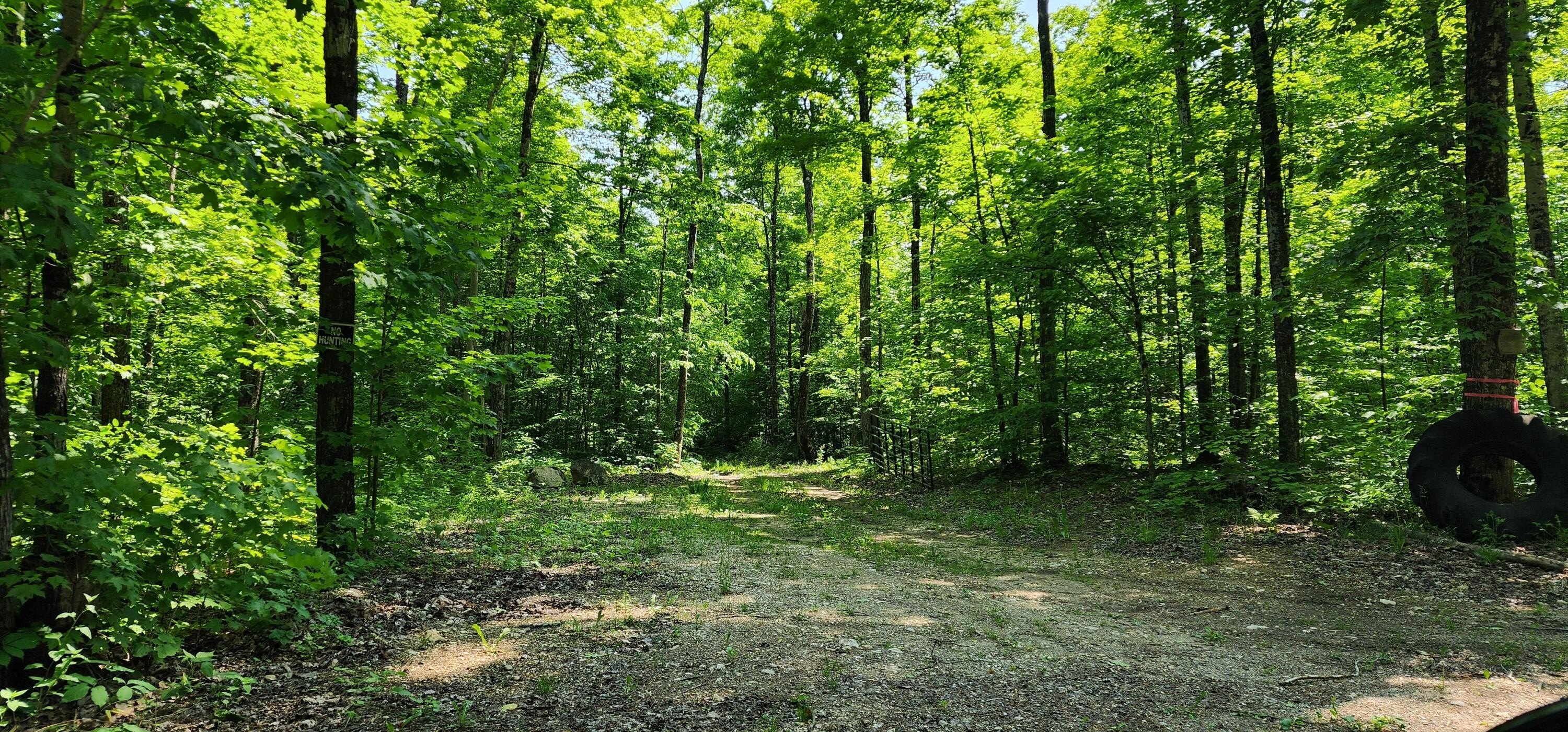 Other - 3625 E Simmons RD, Hessel, MI