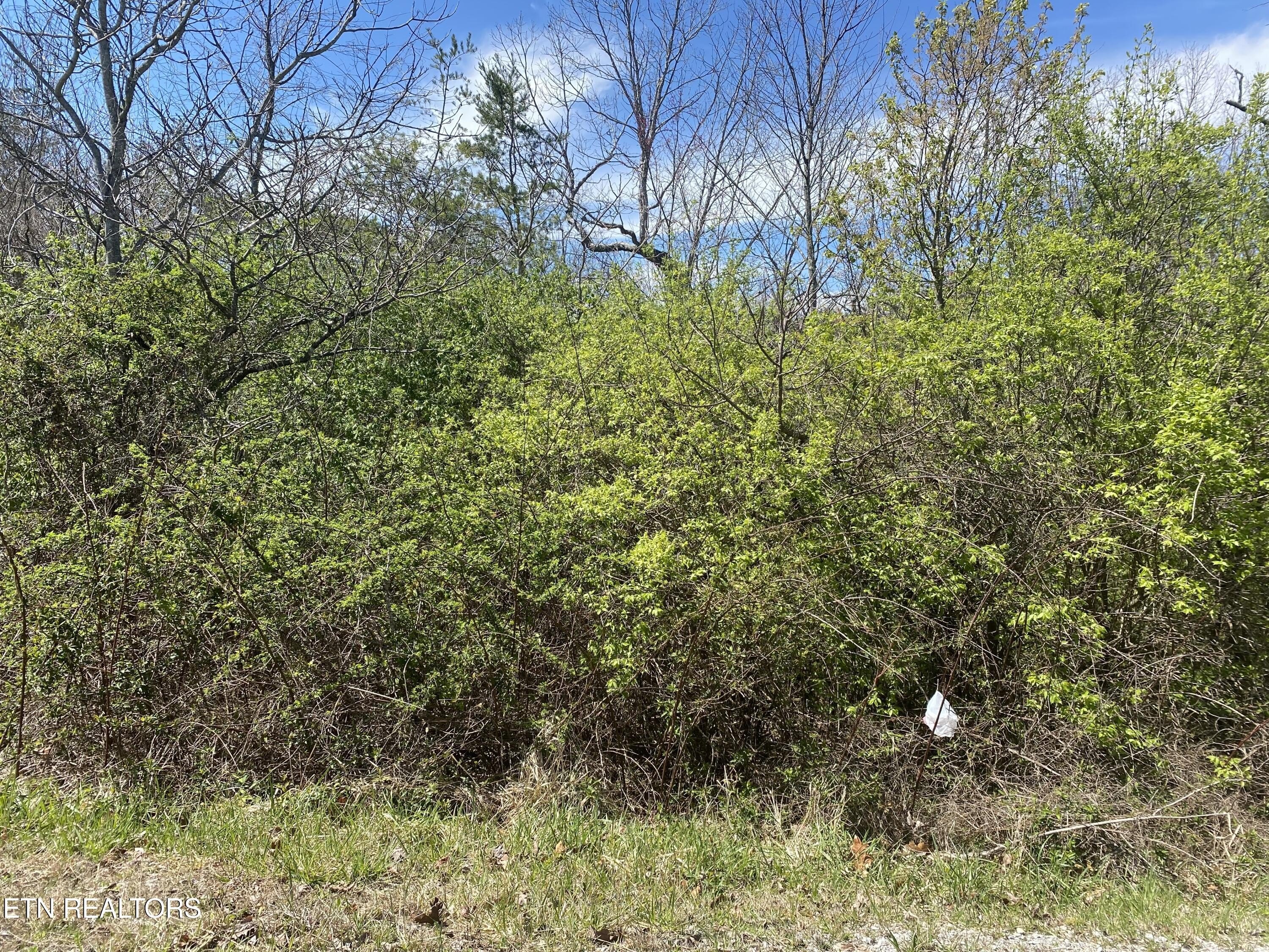 Other - S HWY 127 N lot: #6, Crossville, TN