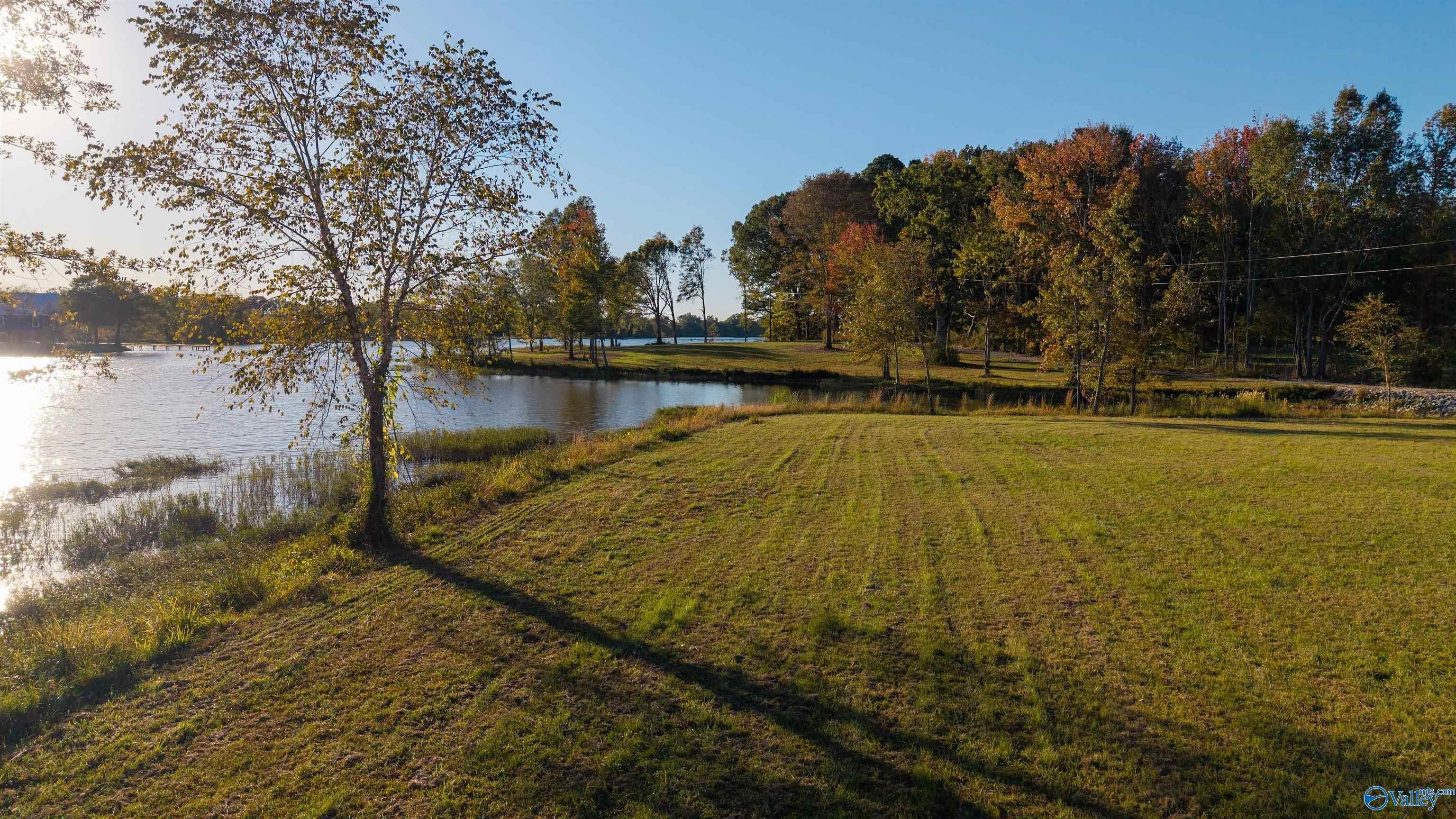 Other - County Road 115 lot: 45, Cedar Bluff, AL