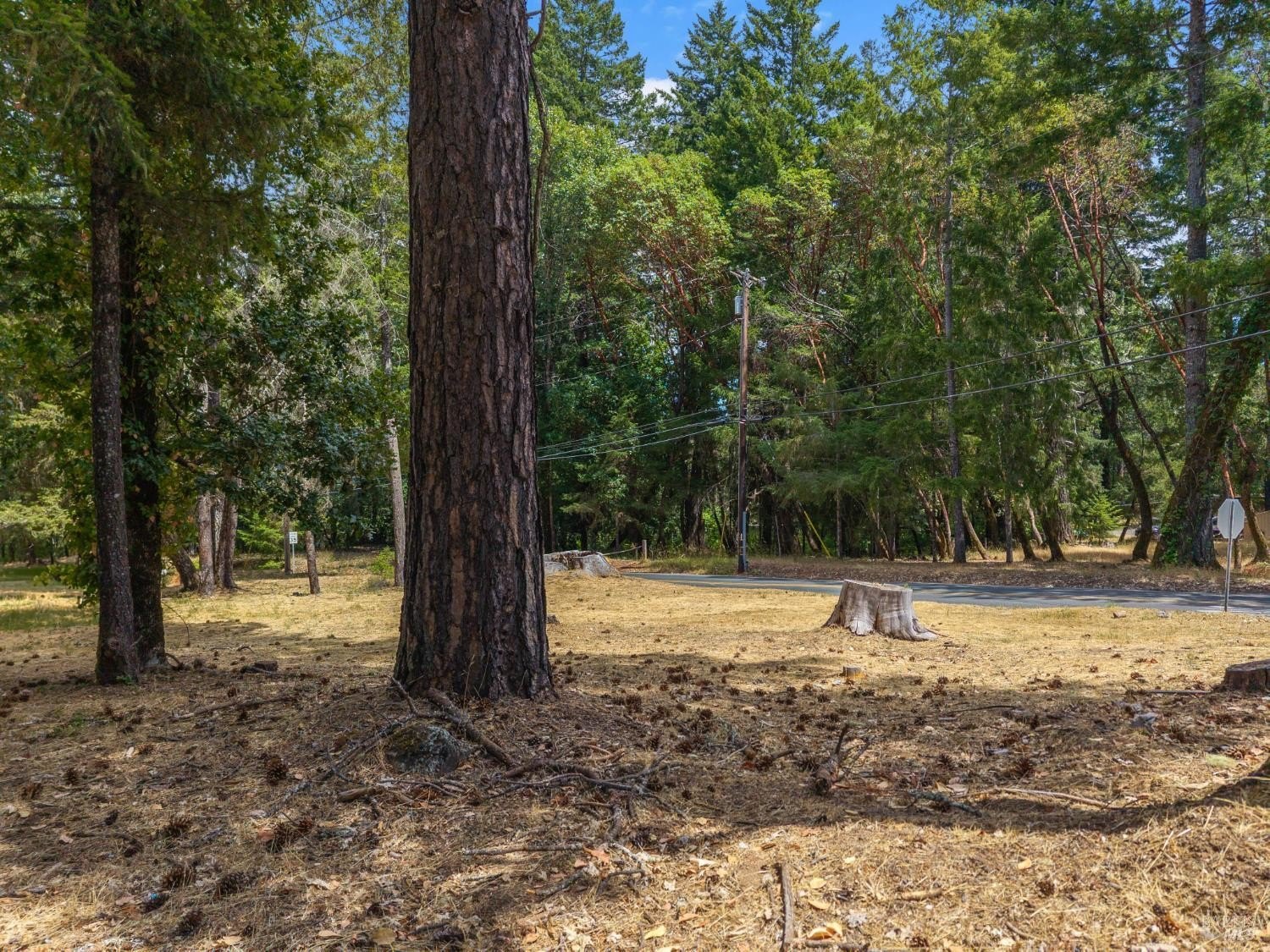 Other - 25331 Sherwood Road, Willits, CA