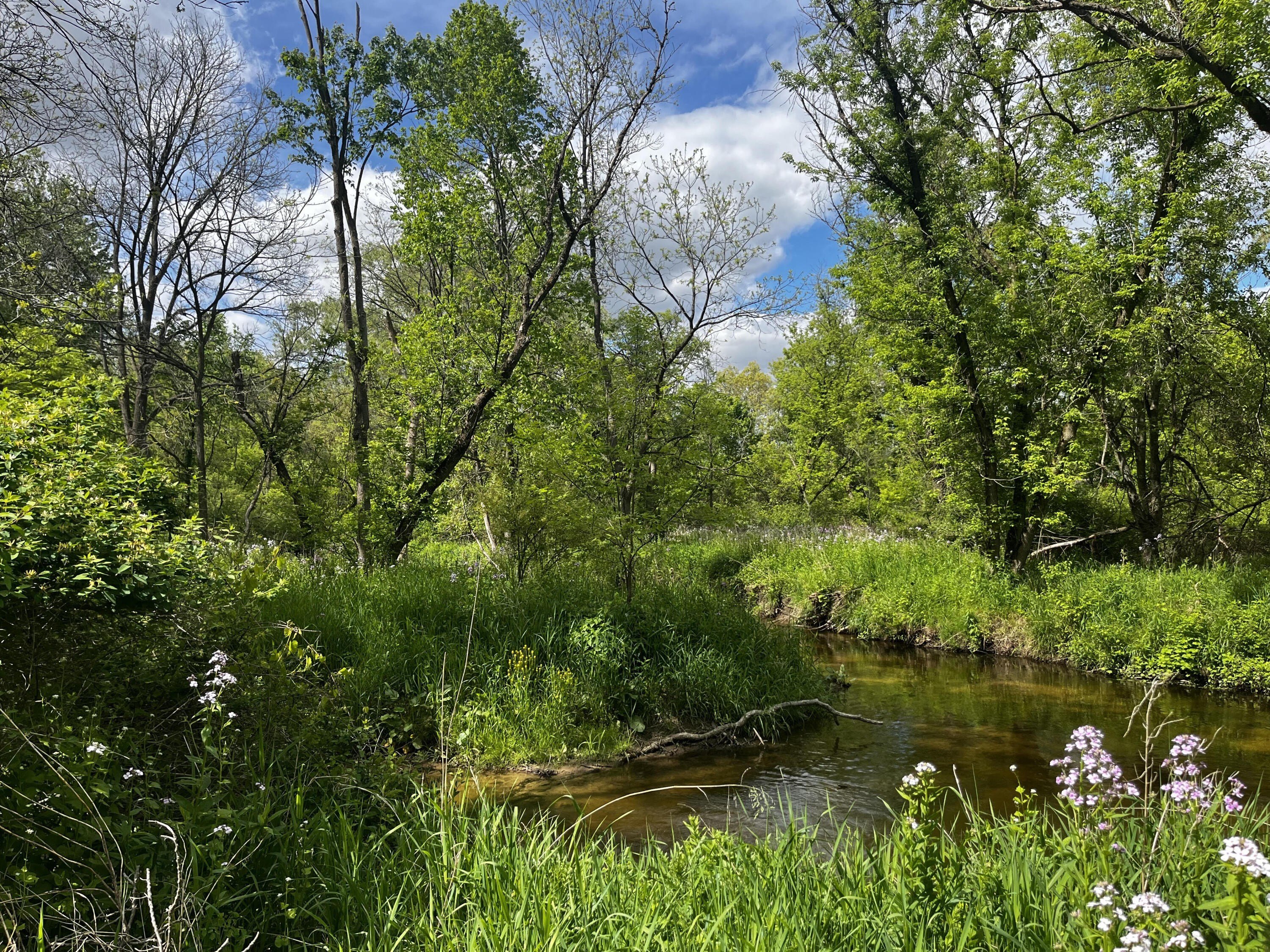 Other - 5650 Morrison Lake Road, Saranac, MI
