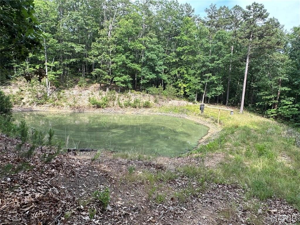 Plots and Land - 10152 Spool Lane, Potosi, MO