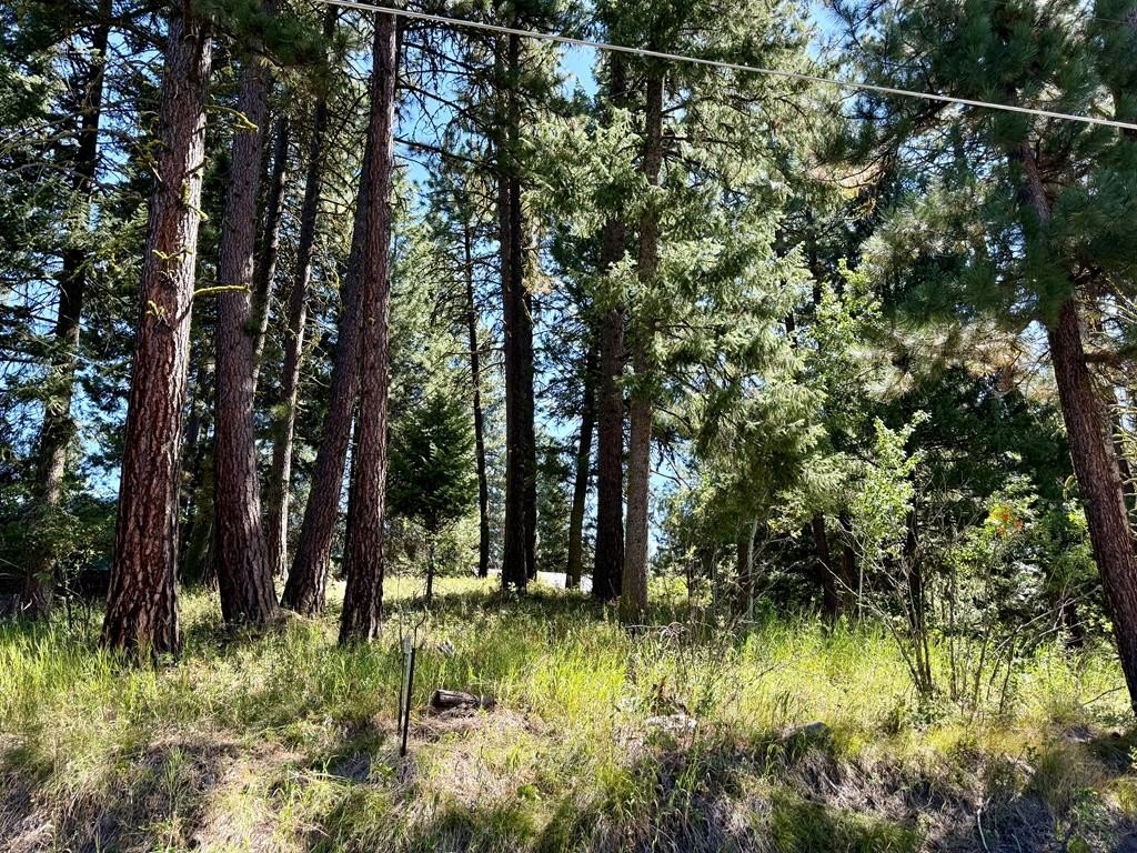 Other - 697 N Samson Trail, McCall, ID