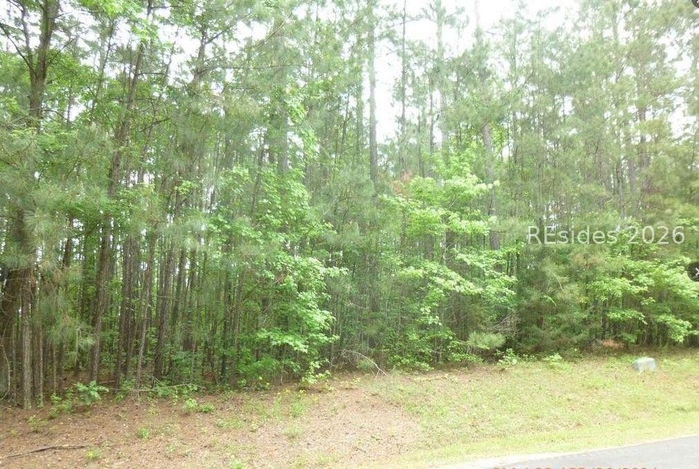 Other - Deveraux Port lot: 17 Block 75, McCormick, SC