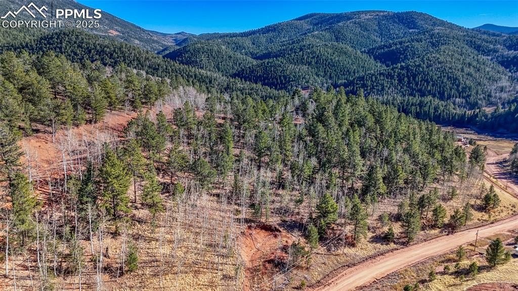 Other - 80 Beaver Pond Road, Divide, CO