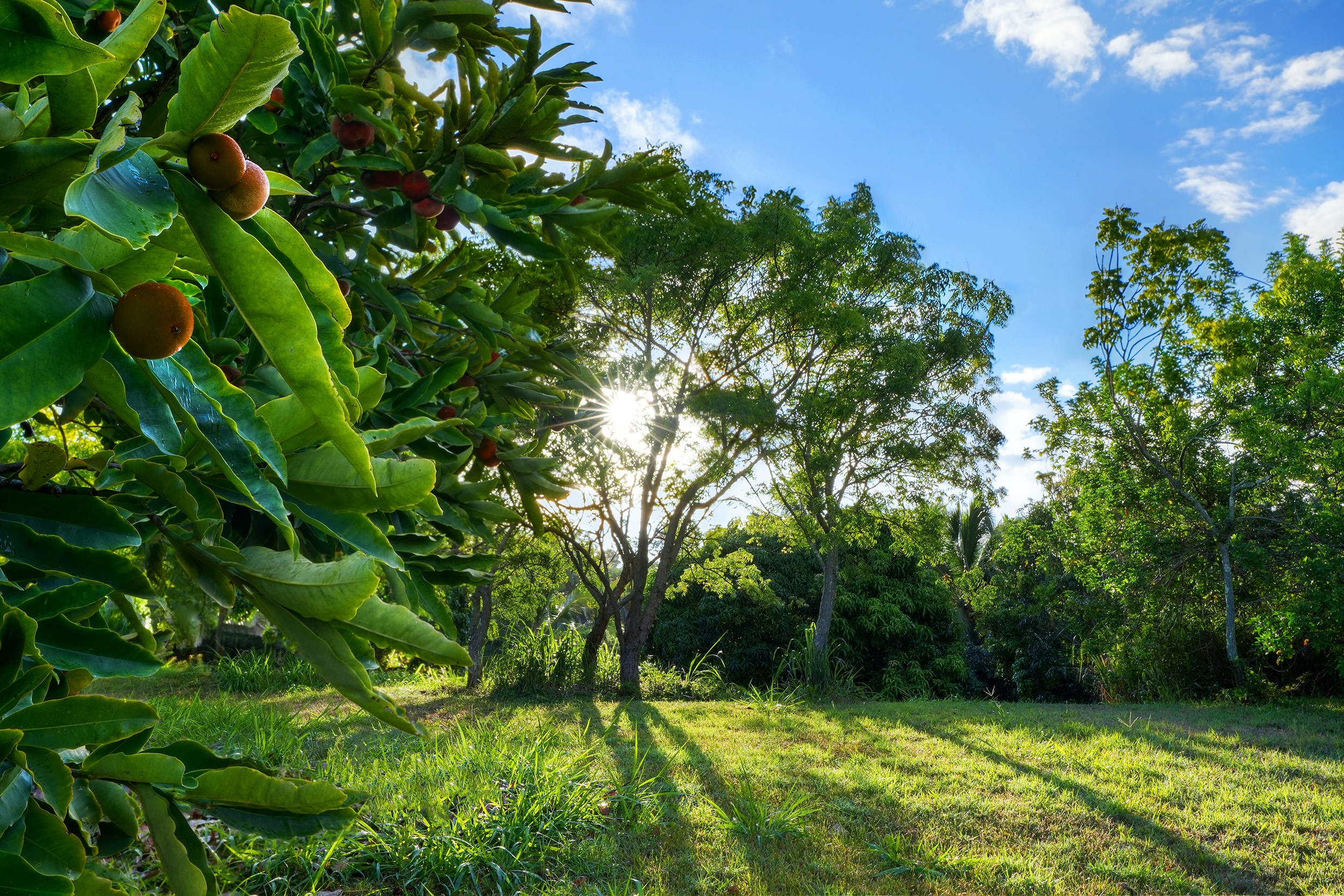 6565-C KOOLAU RD