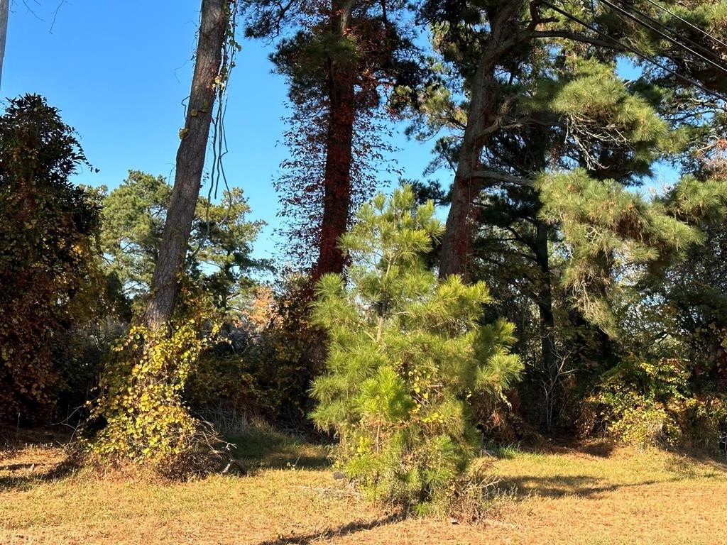 Other - 244A3 RIDGE RD, CHINCOTEAGUE, VA