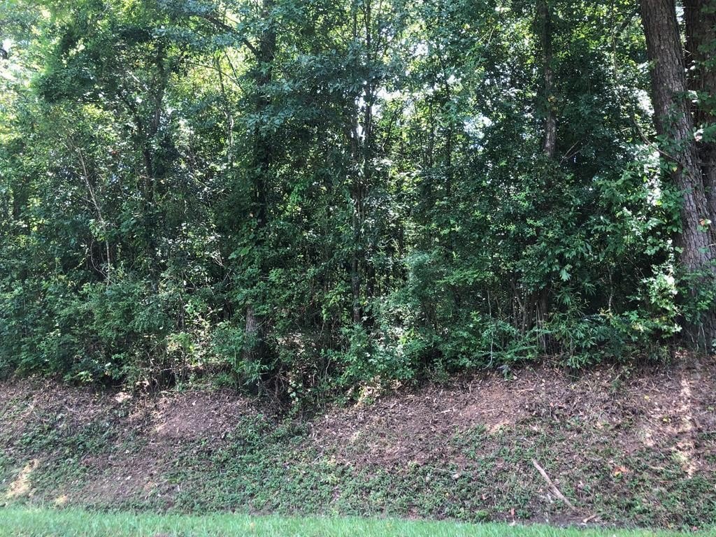 Other - 0 LOT 42, Laurel, MS