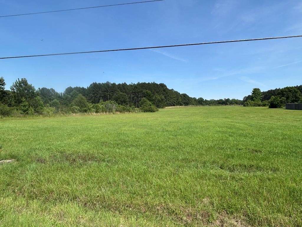 Single Family - 2807 Eddins Rd, Dothan, AL