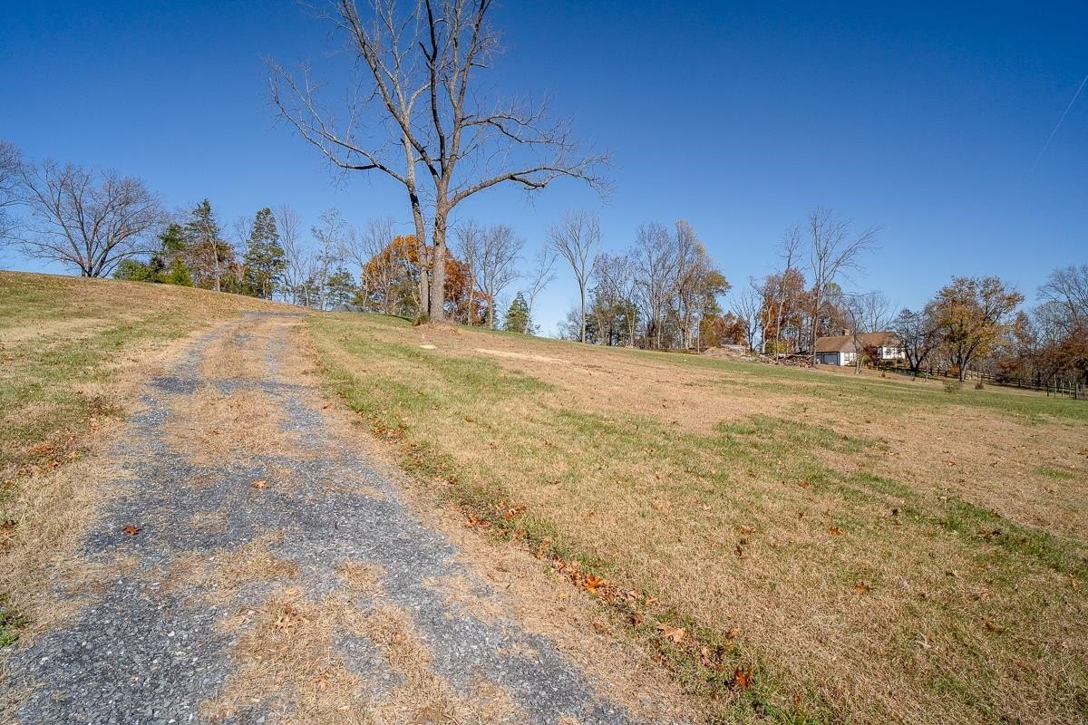 Other - TBD W ROMAN RIDGE RD, MOUNT SIDNEY, VA