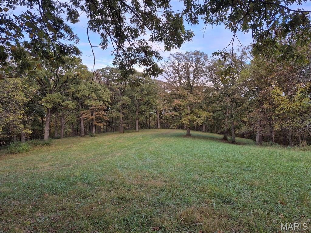 Plots and Land - 0 Highway D - Tract 9 (24.7+/- Acres), Eolia, MO