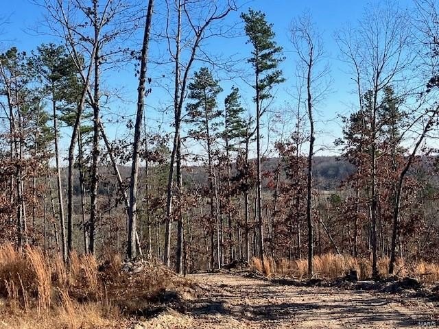 Plots and Land - 52 Madison CR 410, Fredericktown, MO