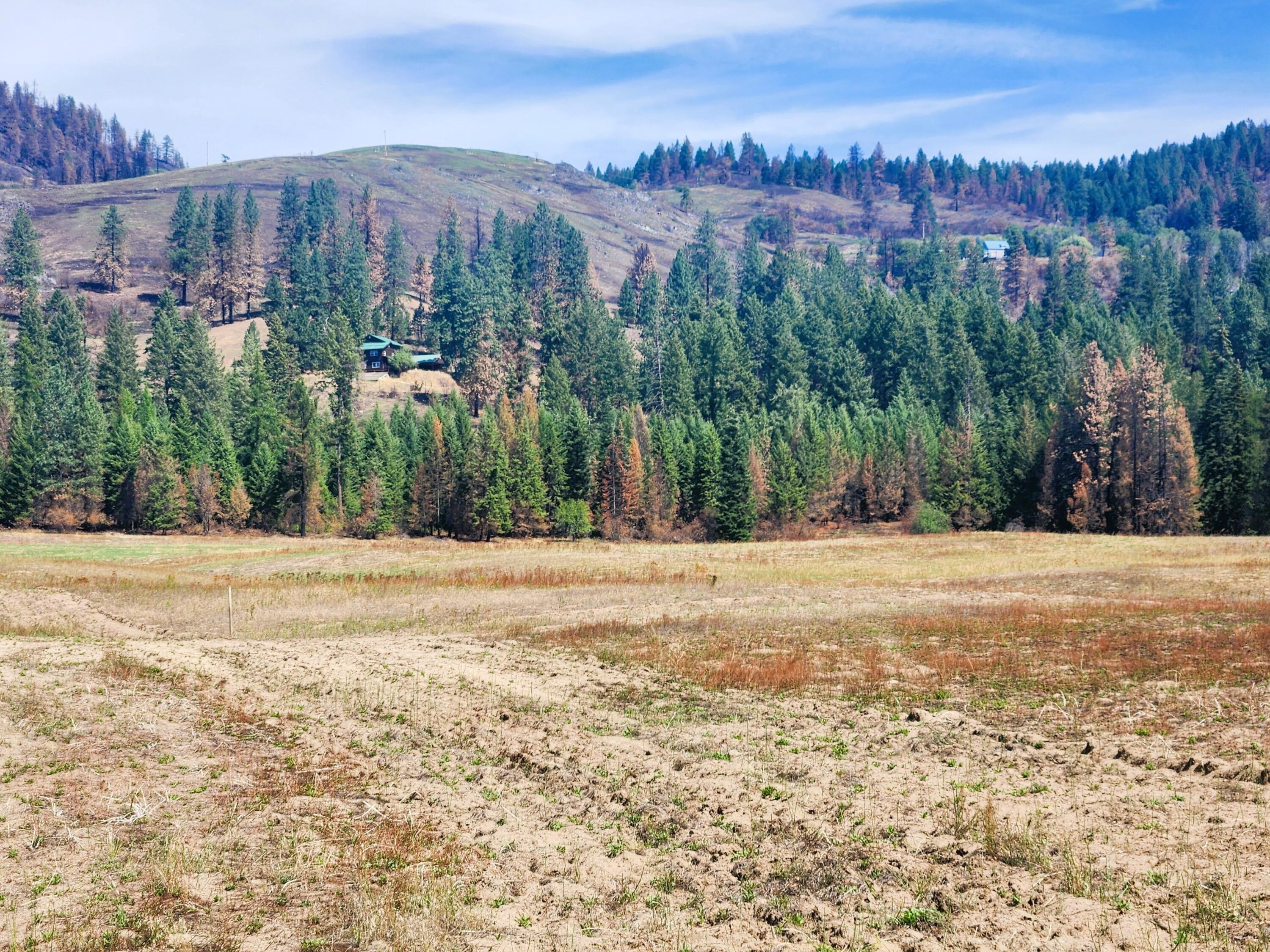 Other - 34XX NORTHPORT FLAT CREEK RD, KETTLE FALLS, WA