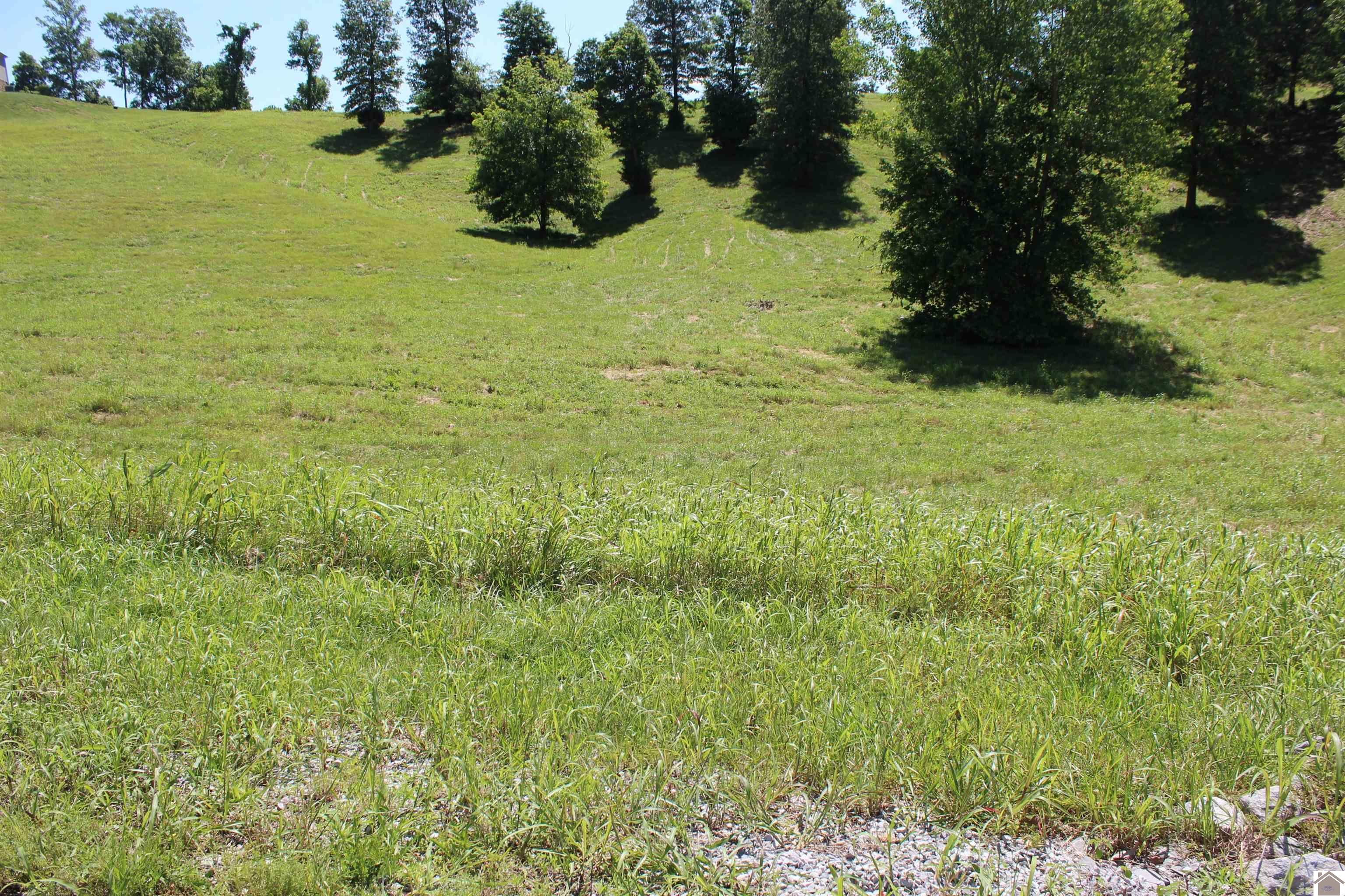 Other - Lot 25 Oak View Lane, Eddyville, KY