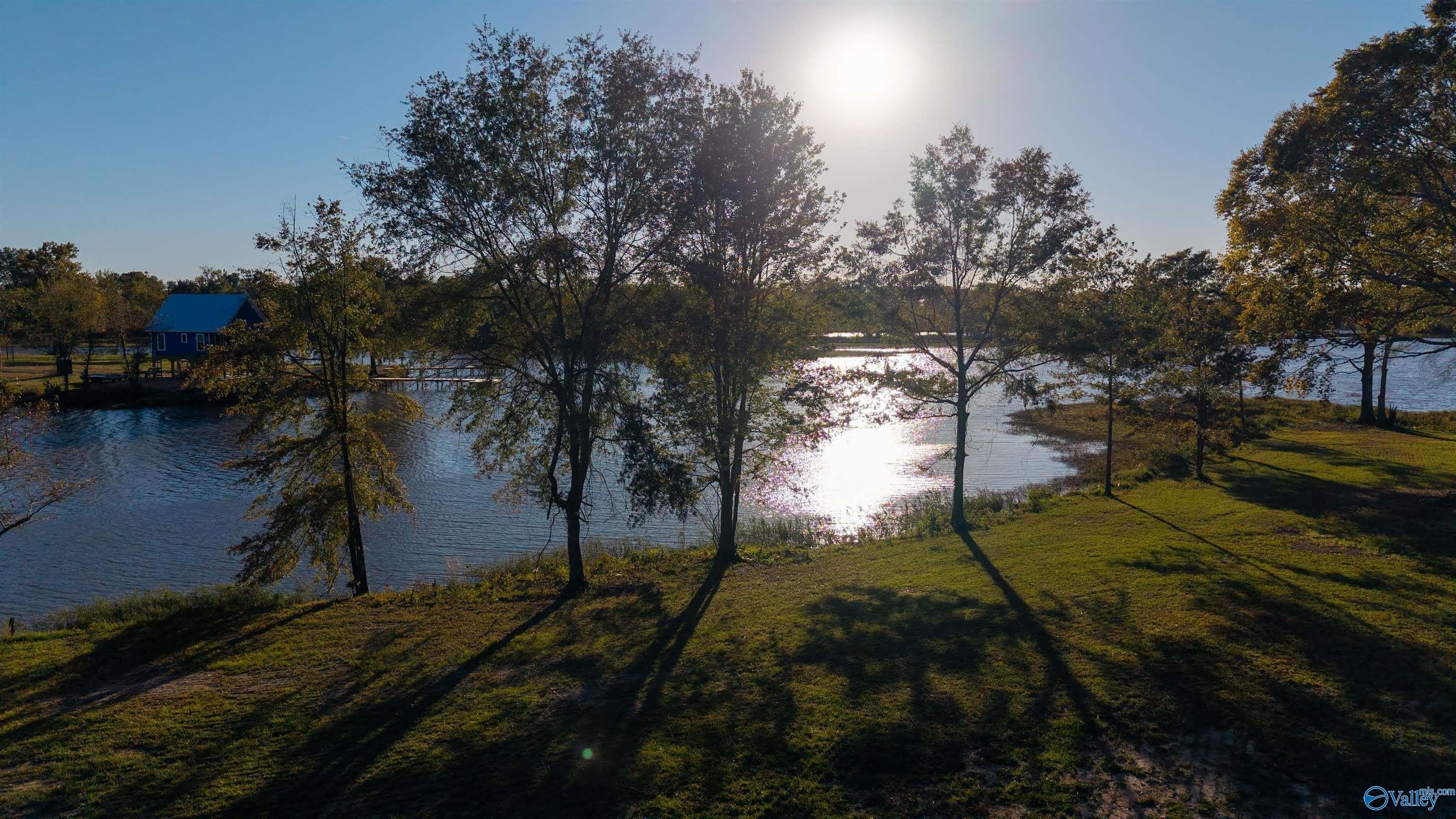 Other - County Road 115 lot: 36, Cedar Bluff, AL