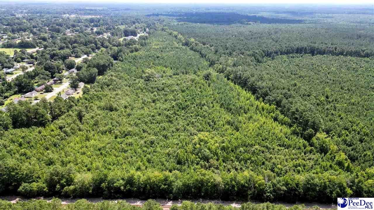 Other - Lot 8 Leigh Ln, Florence, SC