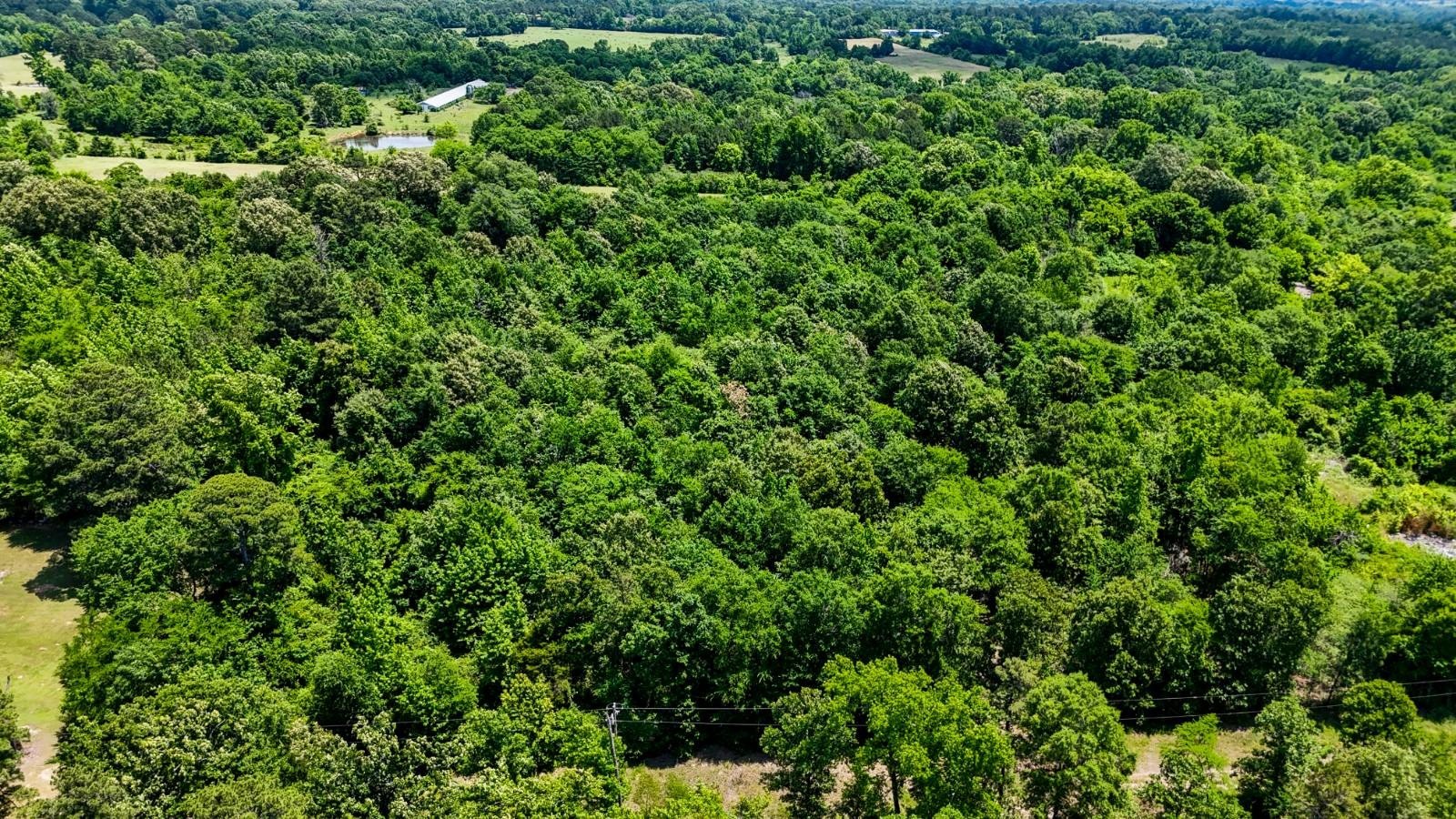 Other - Tract 3 E 2030 Rd, Glover, OK