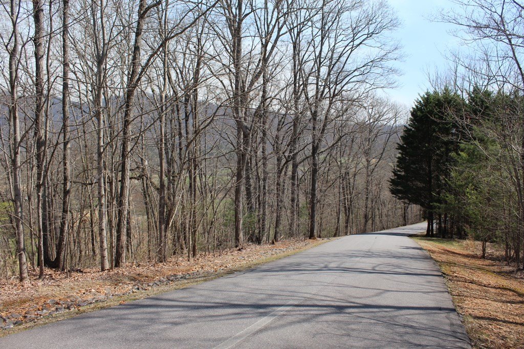 Other - Lot 86a Licklog Ridge, Hayesville, NC