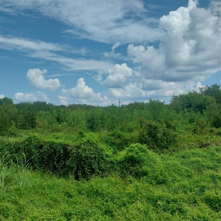 Plots and Land - 1085 Deen Point Road, Benton, LA
