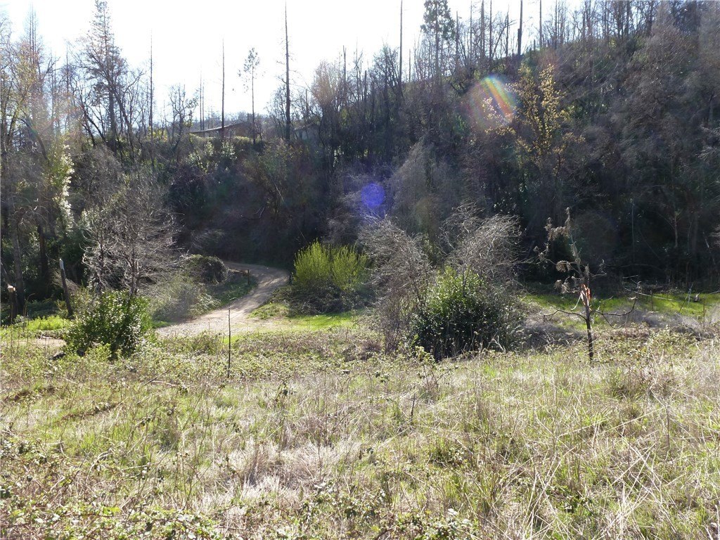 9741 Oroville Quincy Hwy  