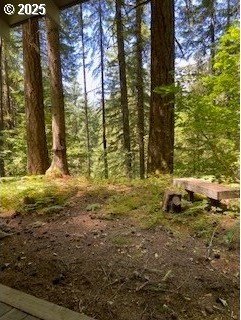 Single Family 3BR 1BA - Cabin 64 Northwoods, Cougar, WA
