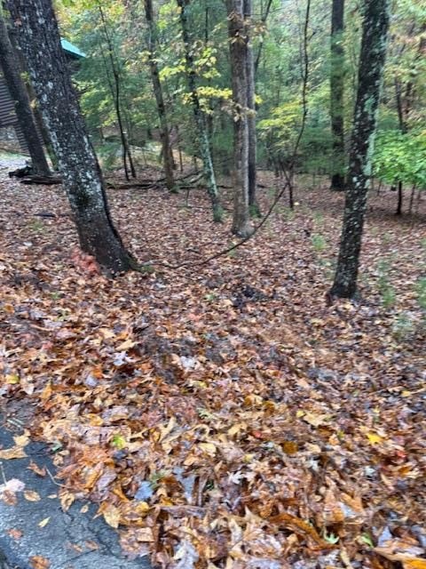 Other - Lt 264 Zenith Trail, Ellijay, GA