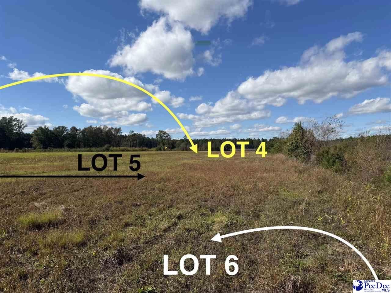 Manufactured Housing - Lot 6 Mallory Beach Road, Latta, SC