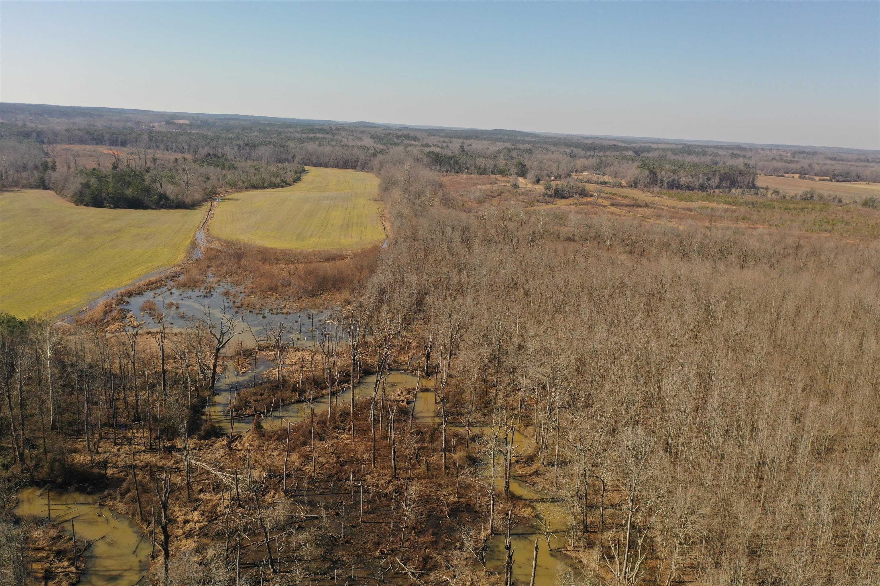 Other - 02 30, New Albany, MS