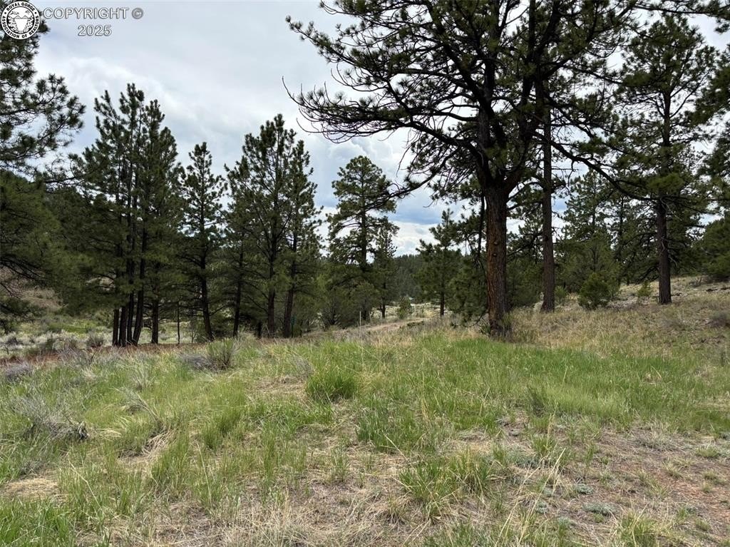 Single Family 1BR 1BA - 161 County Road 329A, Westcliffe, CO