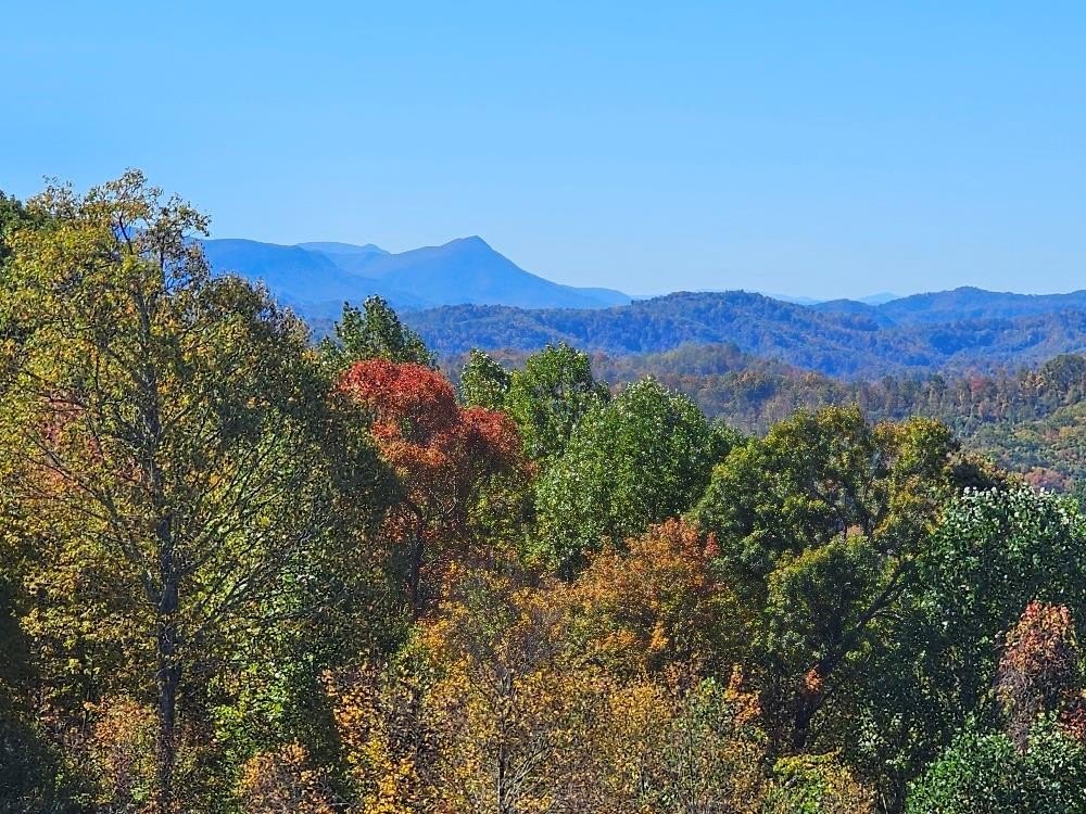 Other - Mayito Ln lot: 9, Mouth of Wilson, VA