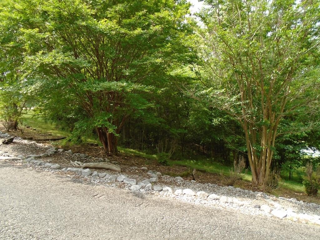 Single Family - 000  Lighthouse Cay Drive, Grand Rivers, KY