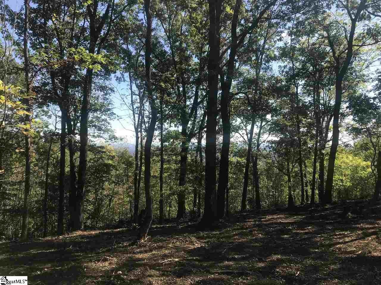 Other - 143 Raptor Way, Landrum, SC