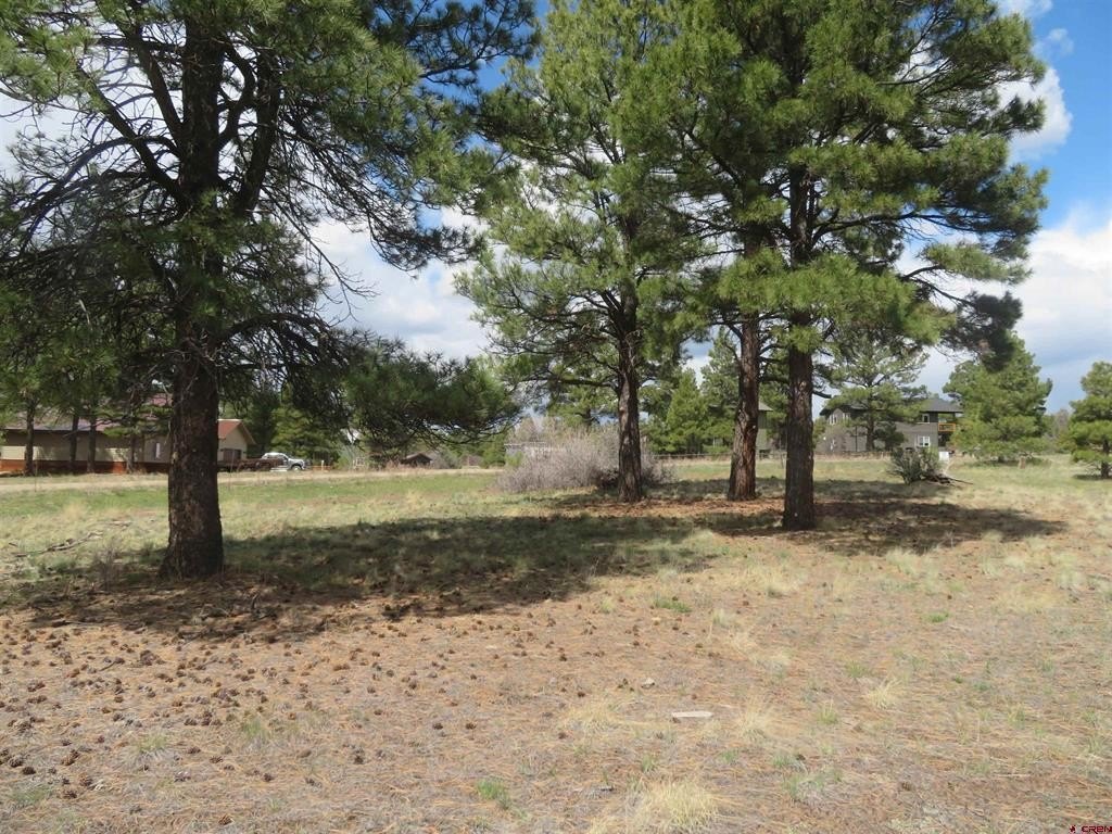 Other - 317 Domicile Circle, Pagosa Springs, CO