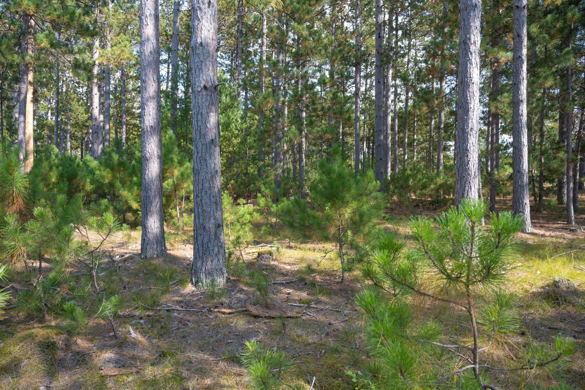 Other - Lot 11 W 16th Court, Arkdale, WI