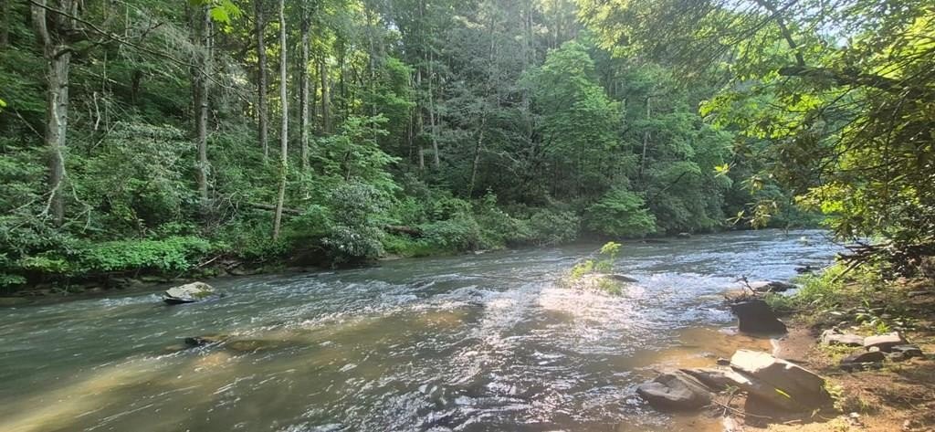 Other - Roaring Forks Lane lot: 4, Ellijay, GA