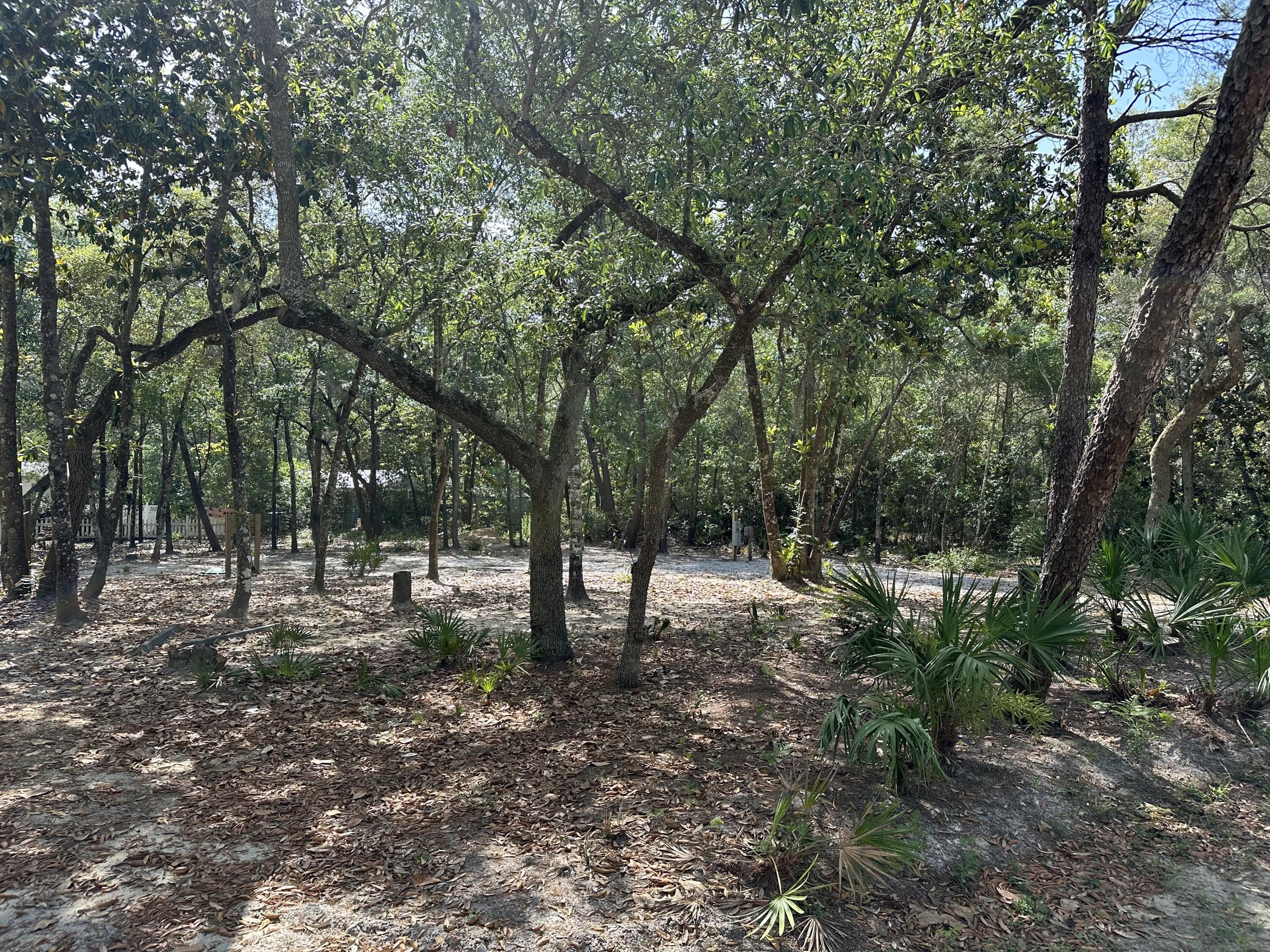 Plots and Land - xx Turquoise Beach Drive, Santa Rosa Beach, FL