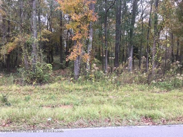 LOT 1 2 PINEVIEW St  