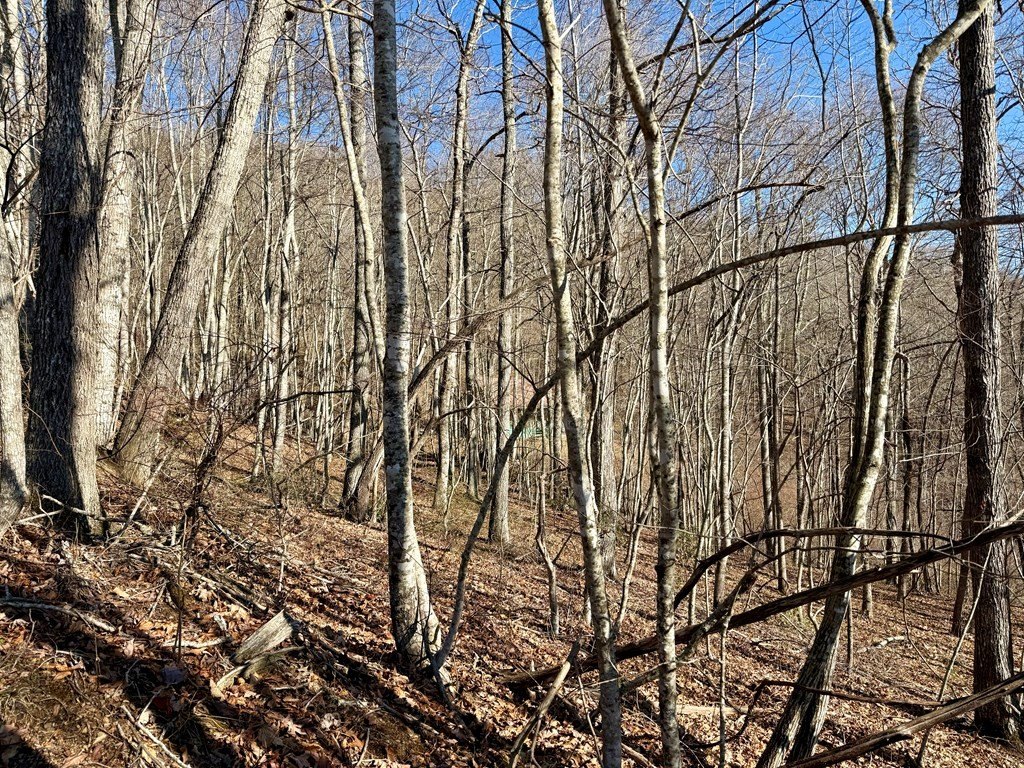 Other - Grizzly Ridge lot: 69B, Bryson City, NC