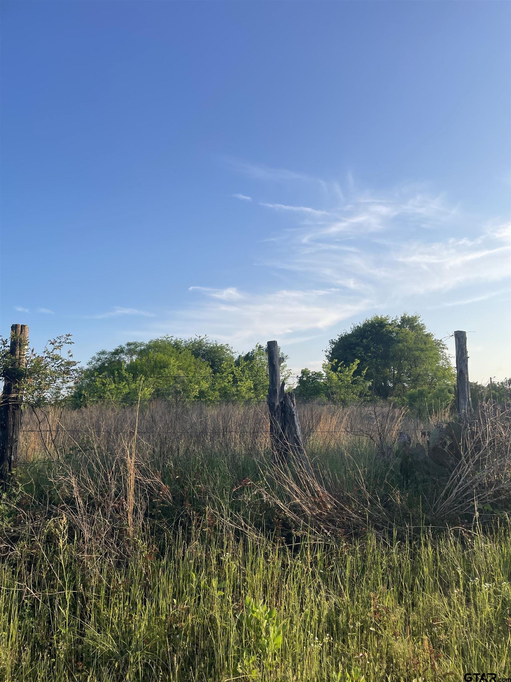 Single Family - TBD CR 2222, Pittsburg, TX