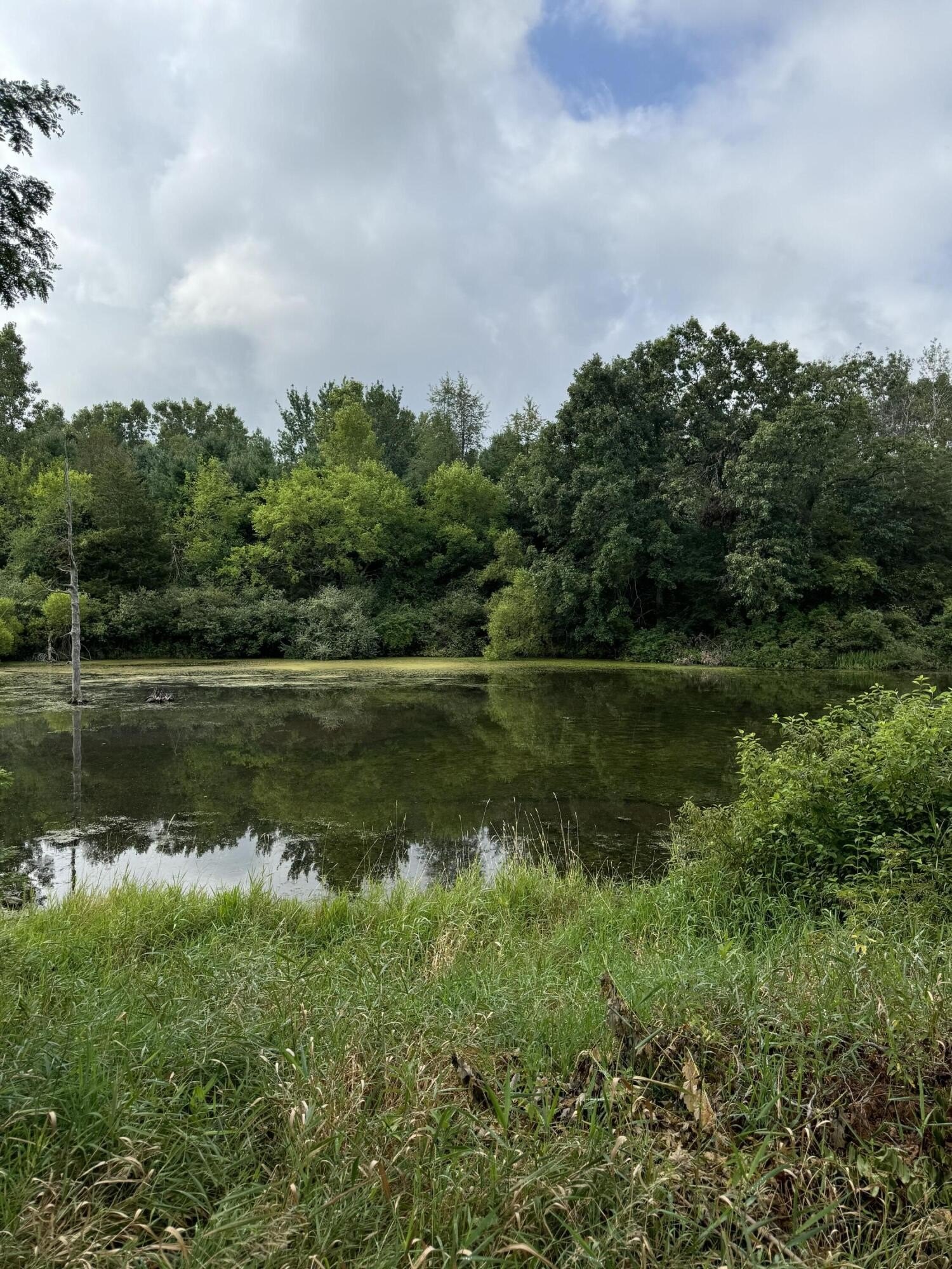 Single Family - 227 Riviera Drive, Brooklyn, MI