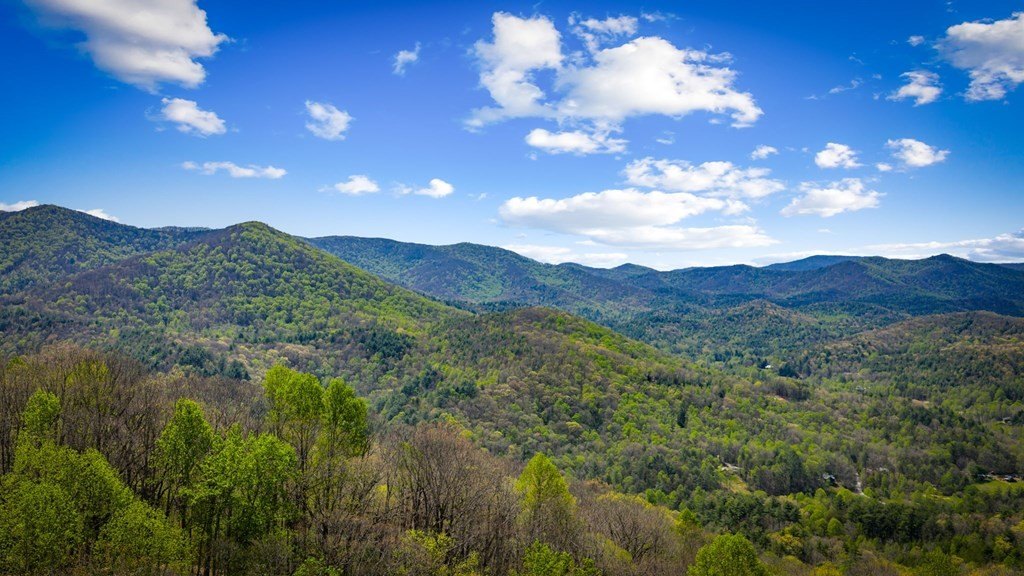 Other 3BR 3BA - 890 Brittney Drive, Blue Ridge, GA