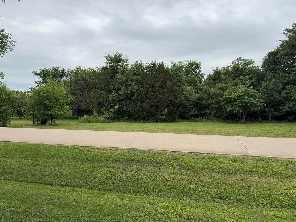 Plots and Land - 1757 Canyon Lake Road, Wills Point, TX