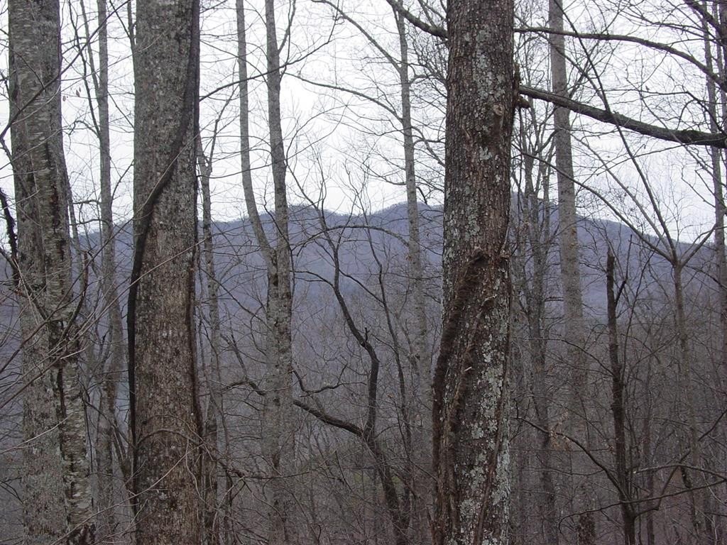 Other - #17 Roaring Ridge, Hiawassee, GA