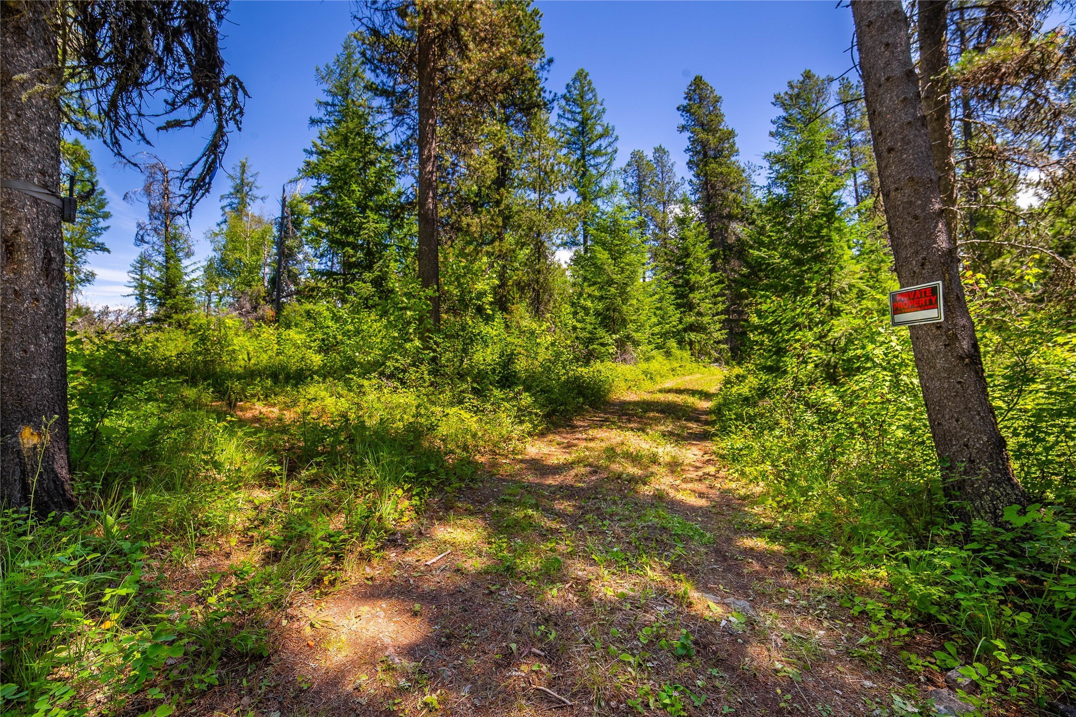 Plots and Land - 11315 US Hwy 2 E, West Glacier, MT