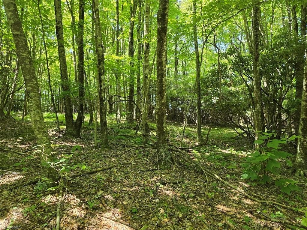 Single Family - TBD 76 White Tail Trail, West Jefferson, NC