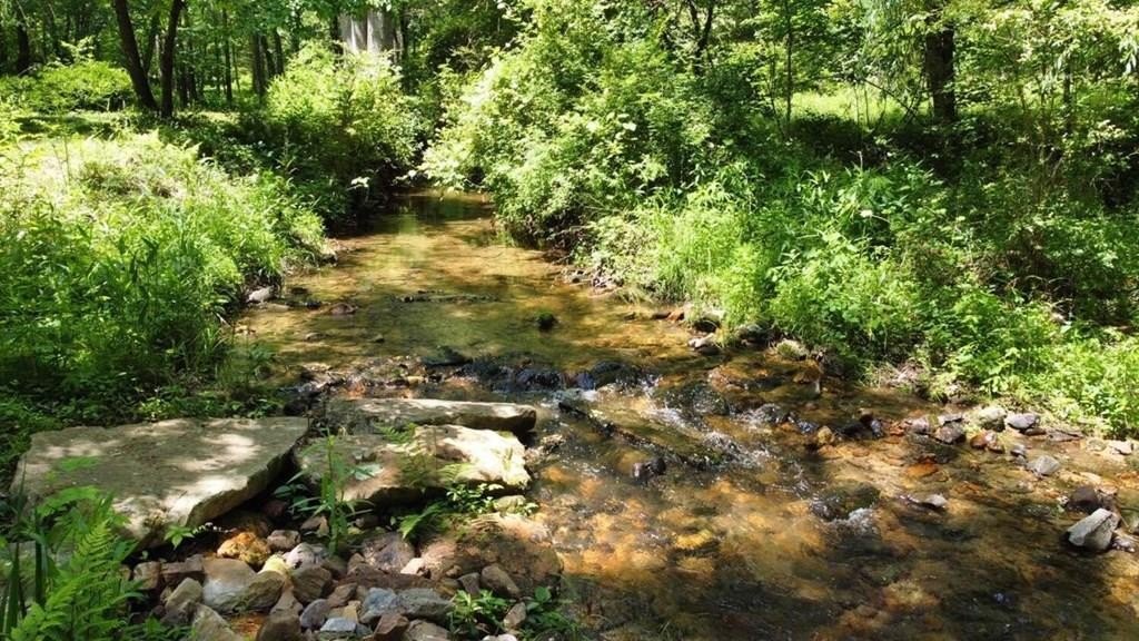 Other - Tract 1 Timber Ridge Road, Blairsville, GA