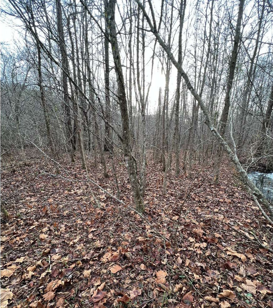 Other - 9-17 Mary Lane, Hayesville, NC