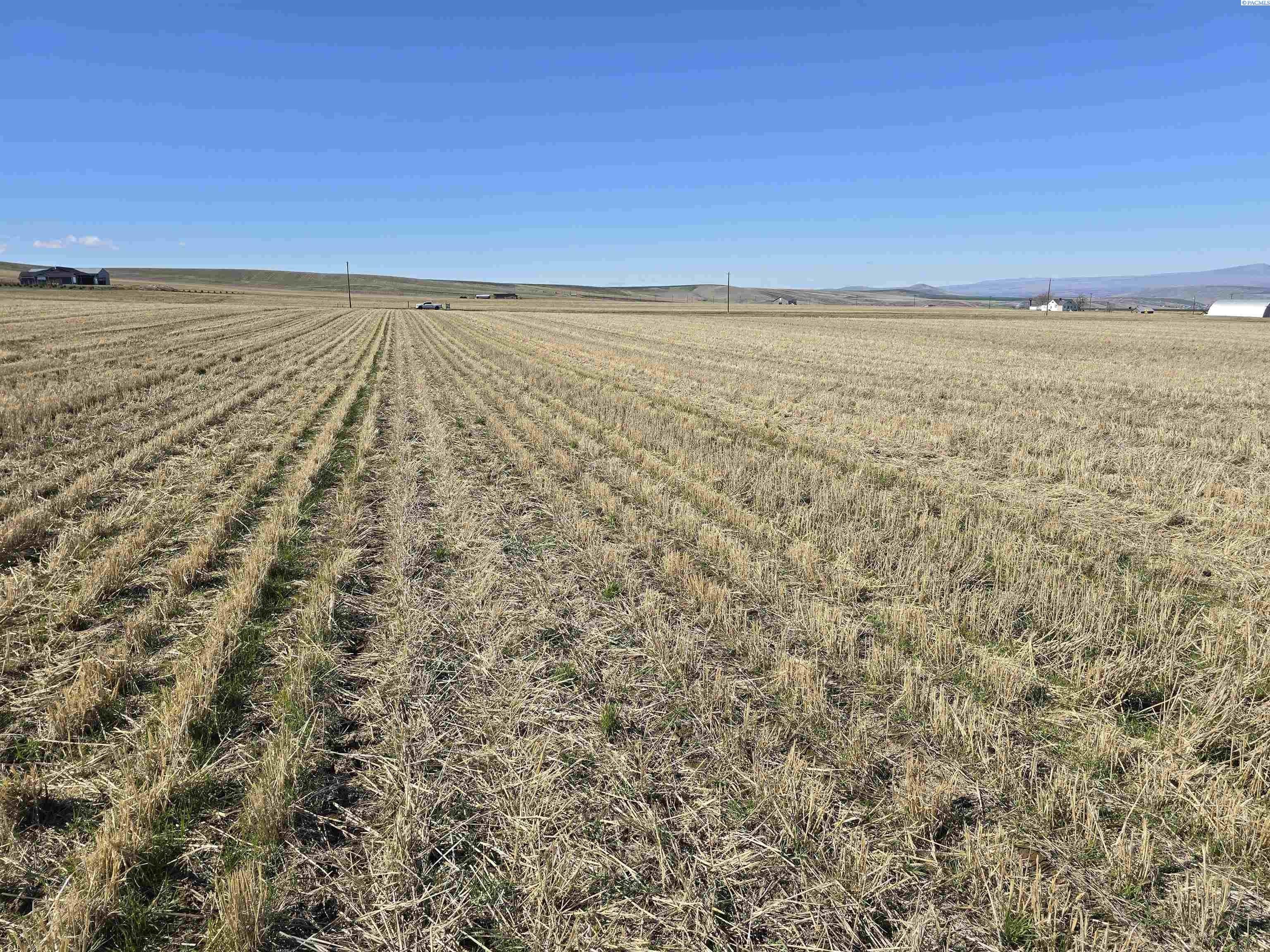 Other - 50411 C Williams Rd, Kennewick, WA